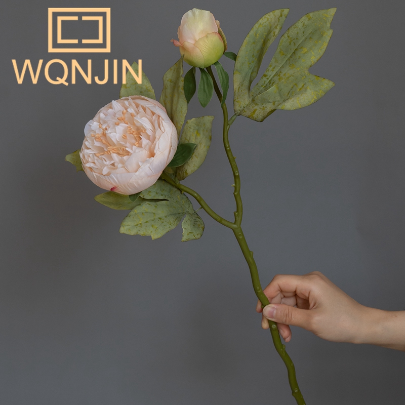 1PC Light Luxury 2-Head Peony  - مراجعة Photography Artificial Lighting وسعره