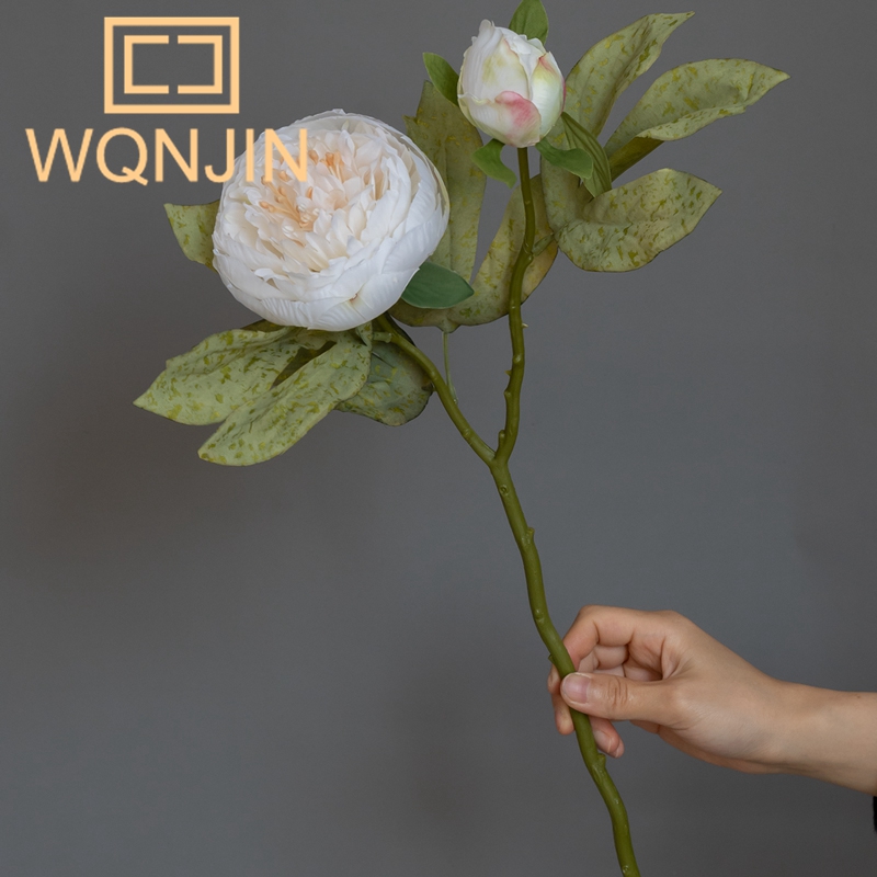 1PC Light Luxury 2-Head Peony  - مراجعة Photography Artificial Lighting وسعره