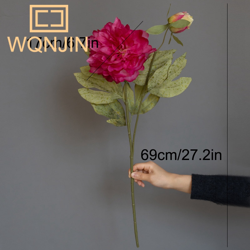 1PC Light Luxury 2 Head Big Pe - مراجعة Photography Artificial Lighting وسعره