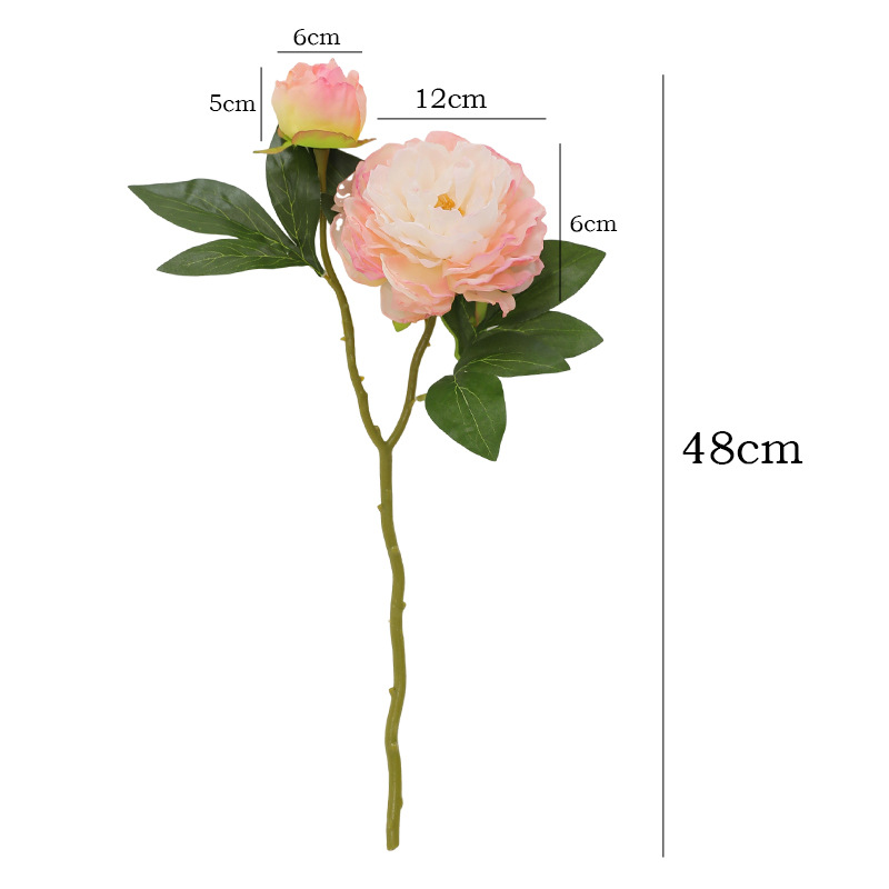 1PC Retro 2 Head Peony Simulat - مراجعة Photography Artificial Lighting وسعره