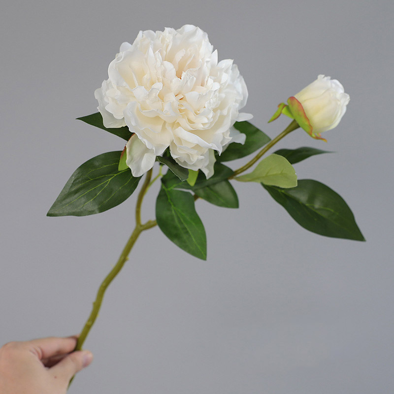 1PC Retro 2 Head Peony Simulat - مراجعة Photography Artificial Lighting وسعره